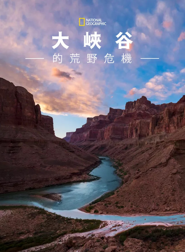 专钓大鳄
