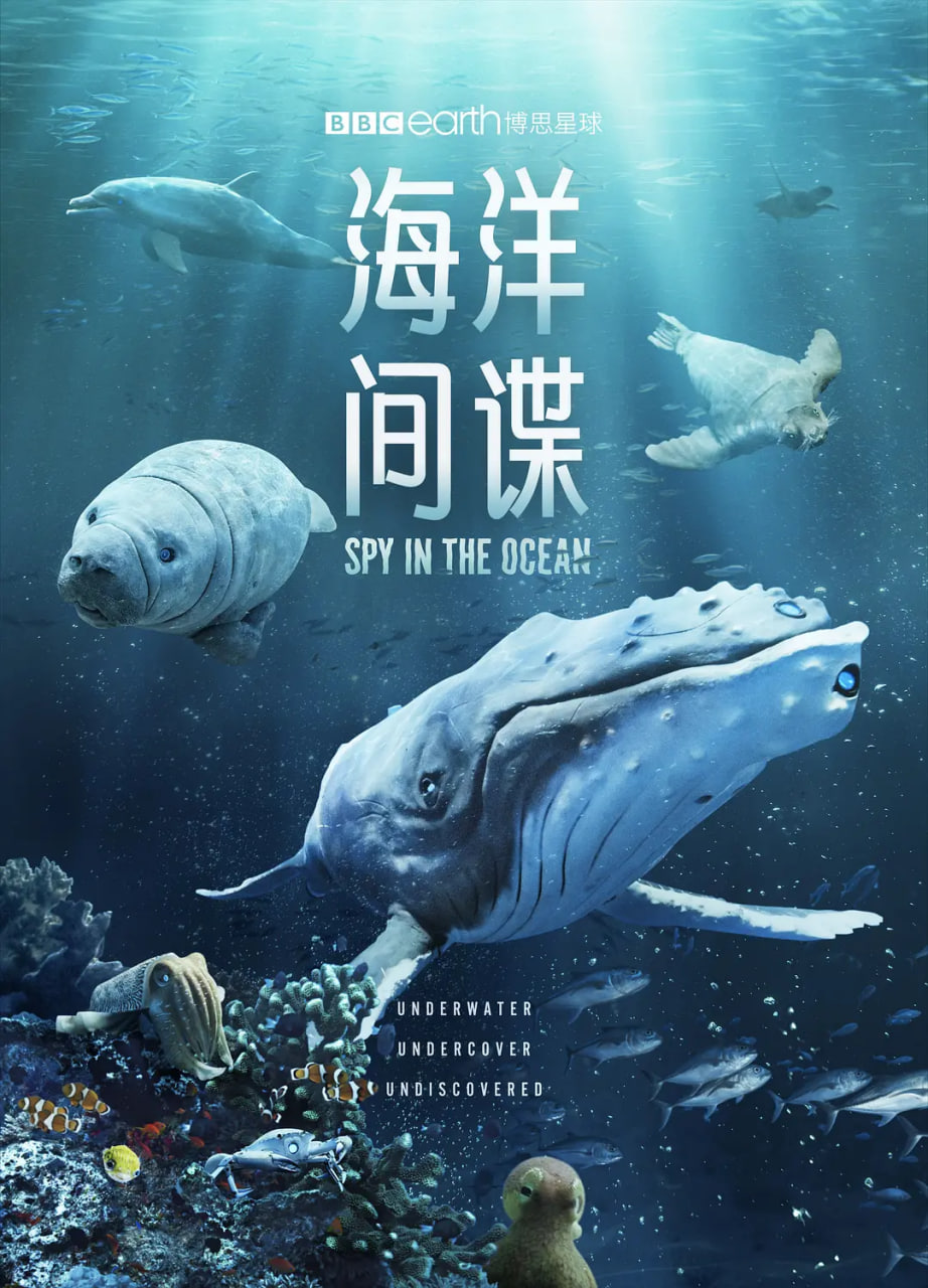 龙威小子3