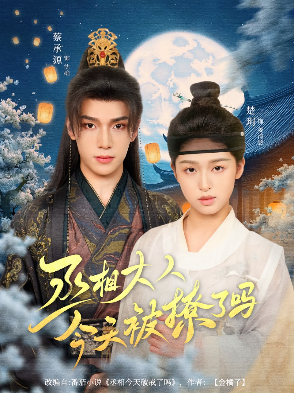 副总统 第四季