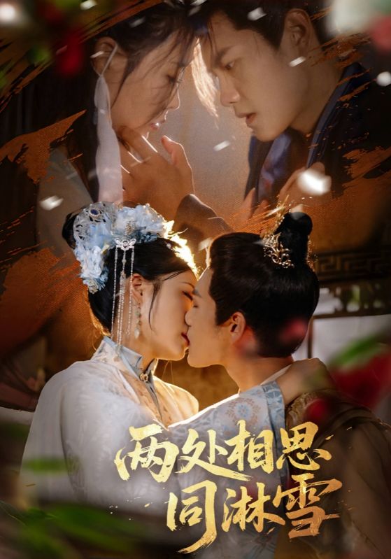 DMD 友谊现实