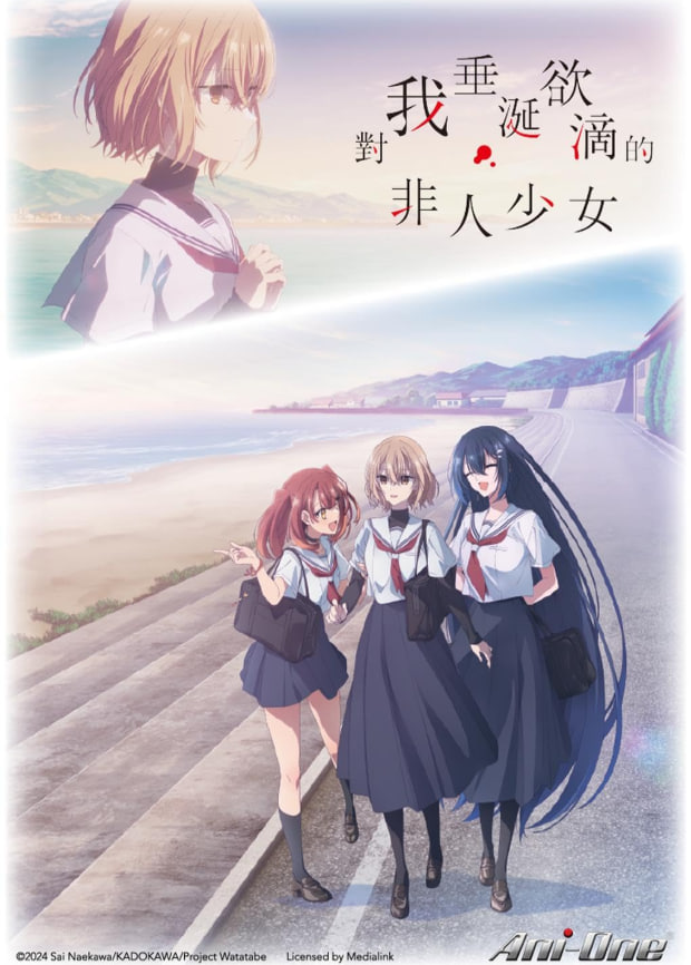 鳕鱼角 第二季