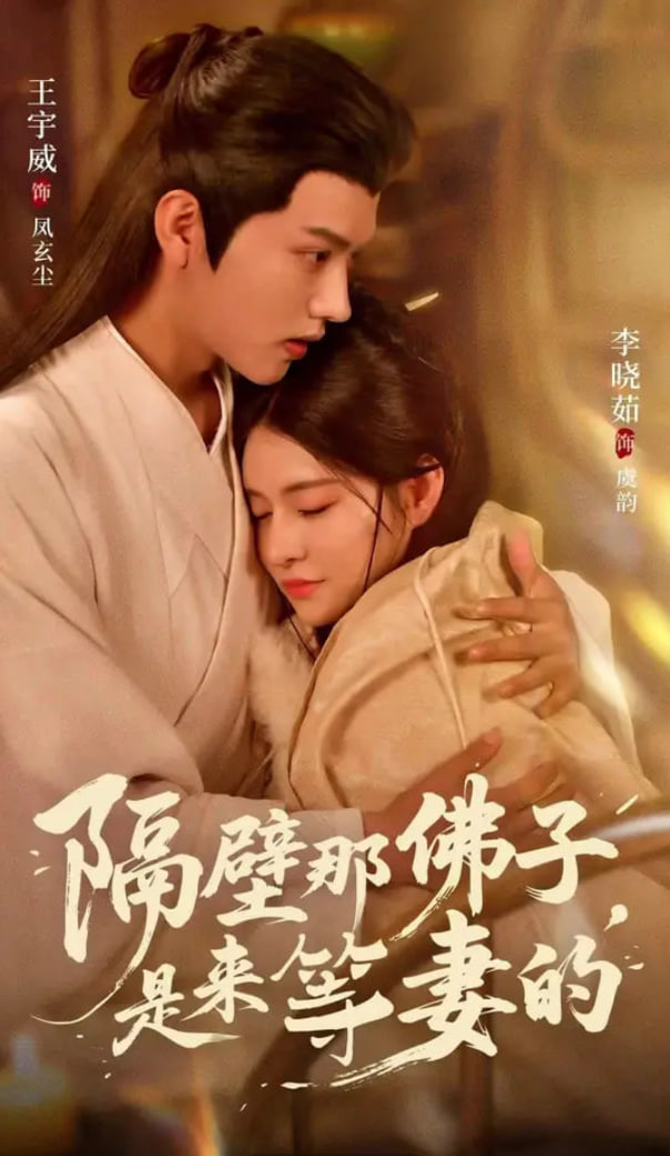 阿盖尔：神秘特工