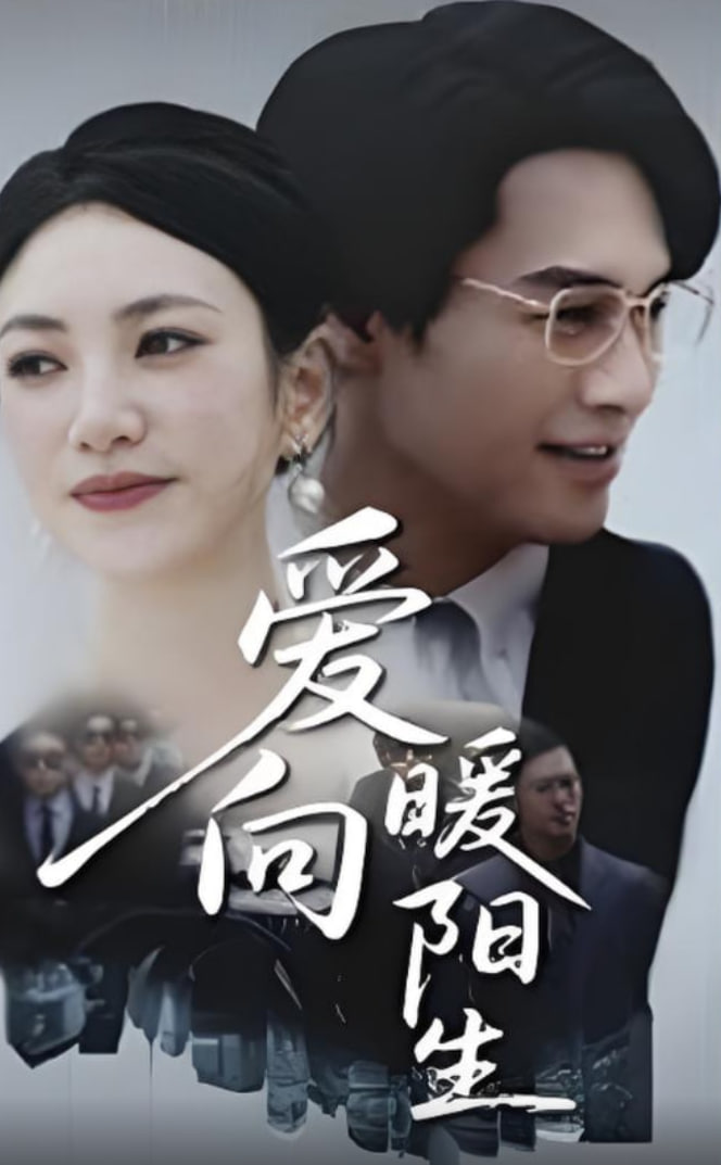 临时劫案 粤语版