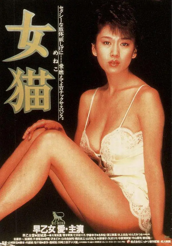 神秘博士 第一季