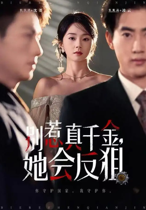 赘婿 第二季