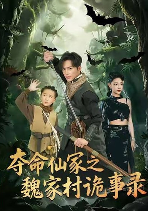 魔法使的约定
