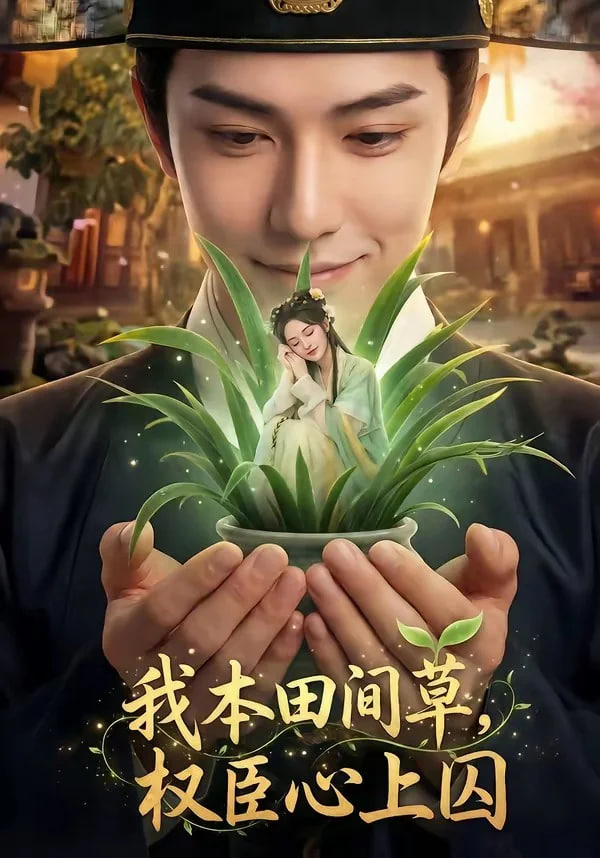 暴力苏醒