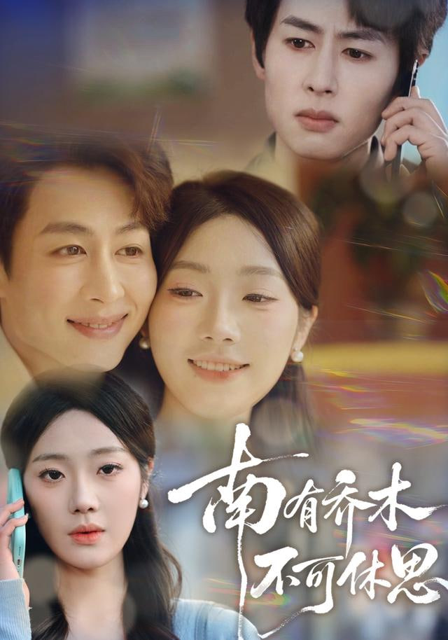 我家那些事