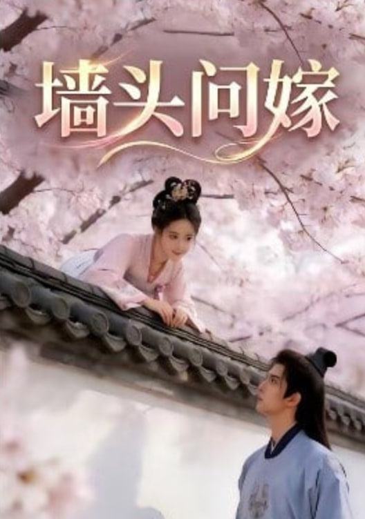 神奇饼干
