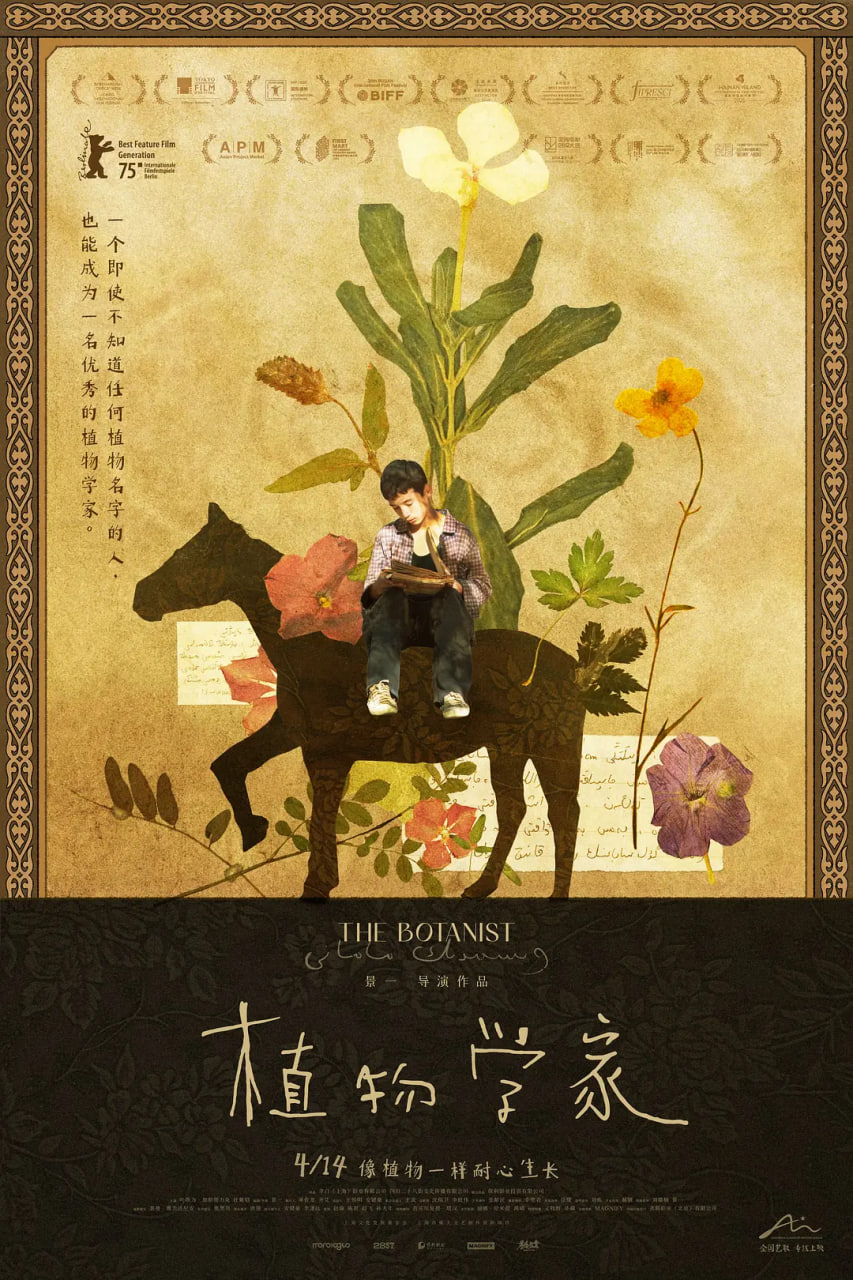 我是龙