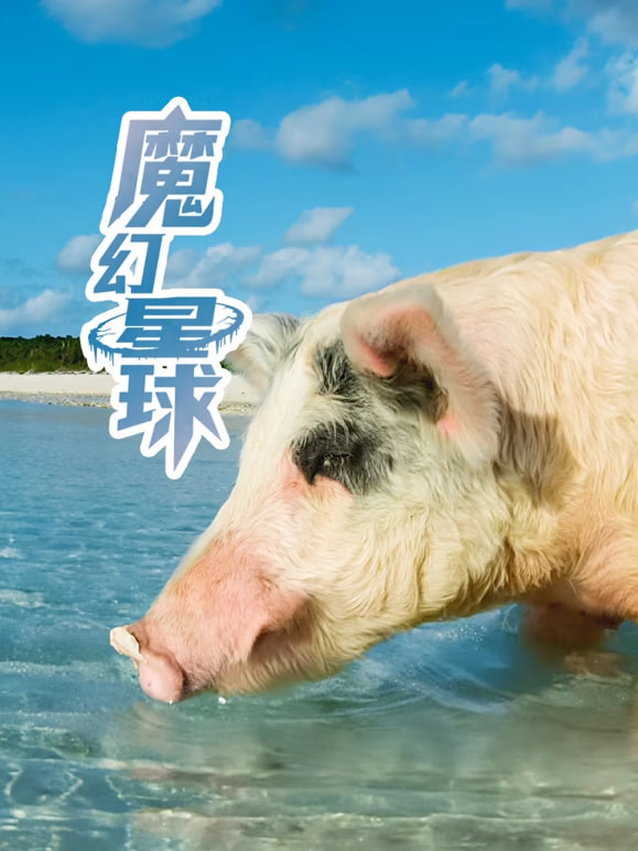 珍爱地球大冒险 第三季