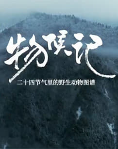 爱将我们分开