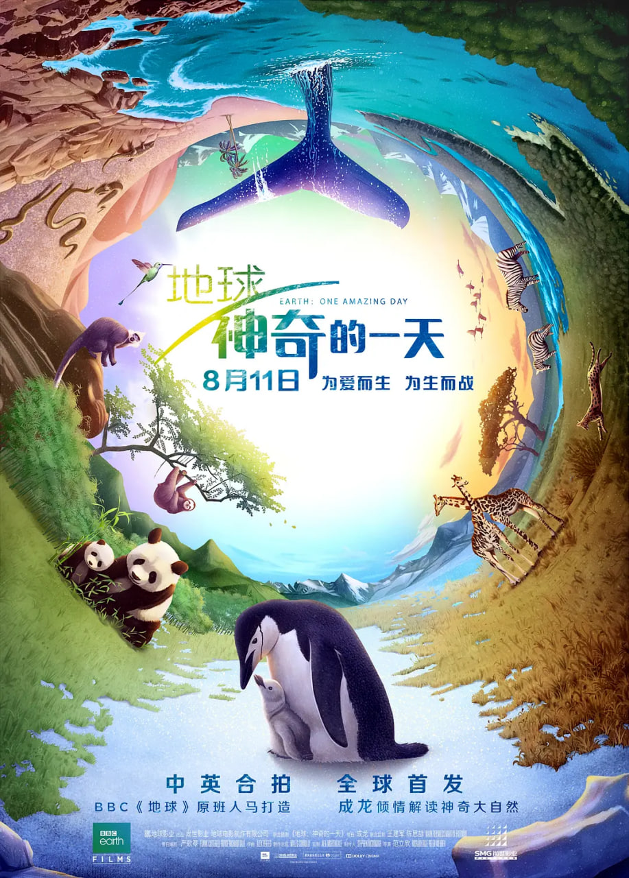 单身汪的假期
