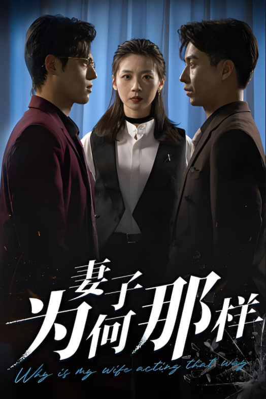 当泰拉遇上比拉尔